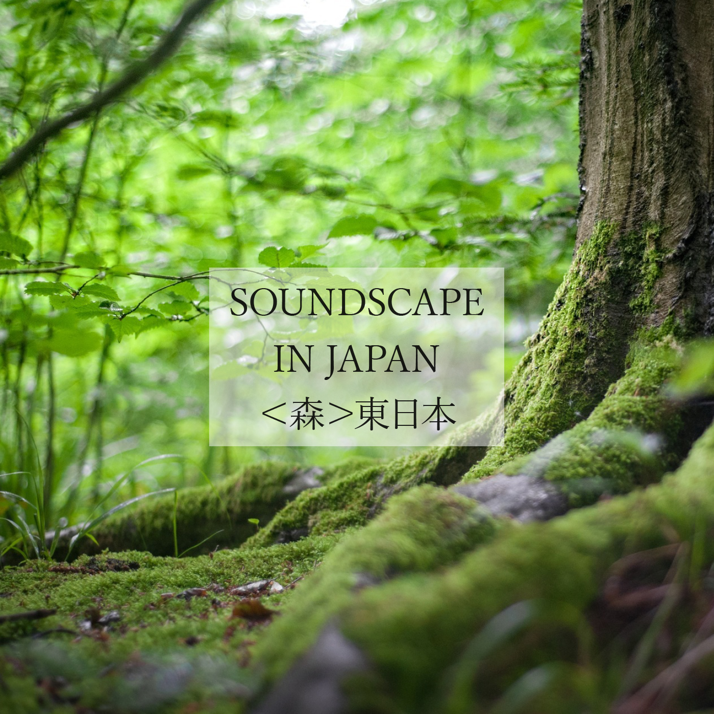SOUNDSCAPE IN JAPAN＜森＞東日本